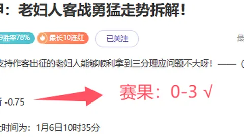 NBA赛场揭秘：18胜12战绩背后的数据奥秘与真实差距